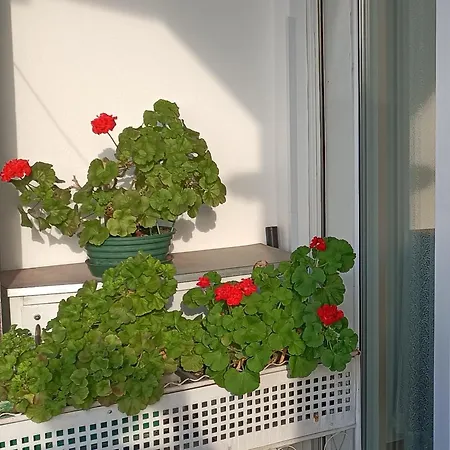 公寓 Spacious For Families