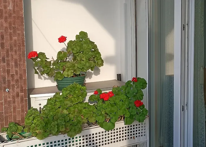 Lägenhet Coroneo33 - Spazioso Per Famiglie - Naonbnb